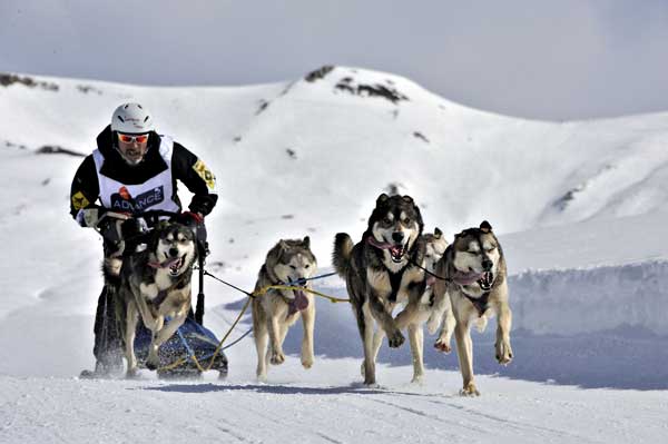 Azpillaga, Vallespí, Ruiz Orte y Carrasco, nuevos campeones de España de Mushing Nieve.