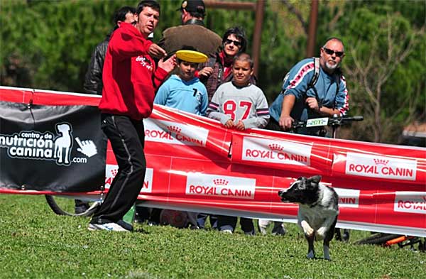 Dog frisbee: El pasado 7 de abril se celebró en En el Parc Central del Vallès (Sabadell/Barberà del Vallès) la primera AWI Qualifier del 2012.