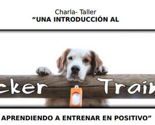 Iniciación al clicker training.