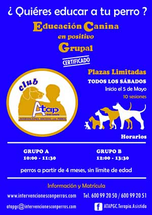 Cursos en grupo de iniciación al adiestramiento canino en positivo, en Arucas (Canarias), con ATAPGC.