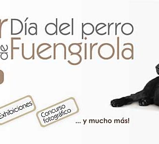 El III Día del perro en Fuengirola 2012 se celebrará el próximo 15 de abril a partir de las 10:00 horas, en la Plaza de España.