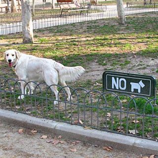 "Él no puede ser más limpio", es una excelente campaña del Ayto. de Guadalajara. Mañana sábado nueva conferencia abierta y gratuita: Factores que influyen en el carácter del perro. Cómo elegir un perro. Responsabilidad del propietario. Protectora de animales Local.