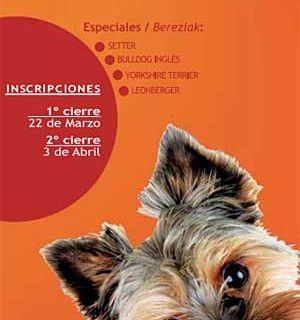 Exposición Canina Internacional de Guipúzcoa con especiales de bulldog inglés, setter, leonberger y Yorksire terrier.
