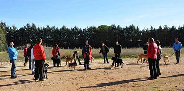 Nuevos cursos de Lifskills (habilidades sociales) y Jugar con tu perro, con Hellen Phillips en Madrid.
