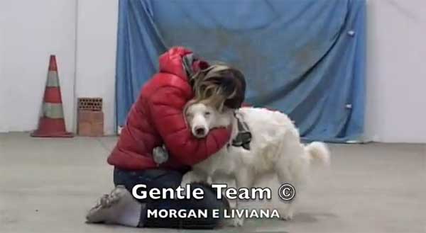 Habilidades caninas con un aussie ciego y sordo, tacto y olfato son las claves (vídeo).