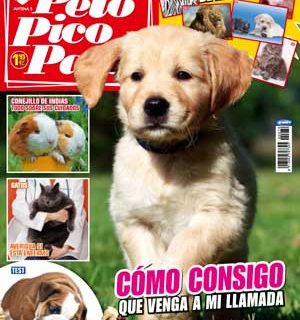 En la revista Pelo Pico Pata de mayo: acudir a la llamada, acupuntura veterinaria, adopciones en la Asociación Protectora de Animales y Plantas La Camada.