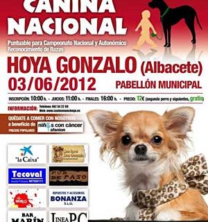 Exposición Nacinal Canina Benéfica en Hoya Gonzalo (Albacete), para recaudar fondos para AFANION, familias de niños con cáncer.