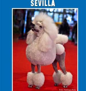 XXXVI Exposición Canina Internacional de Sevilla