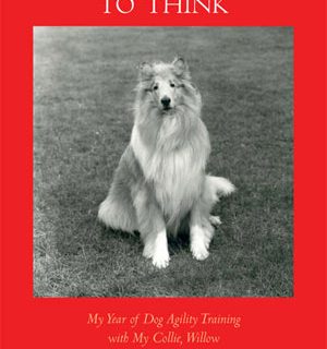 Kinberly Davis en su libro Teaching the dog to think.