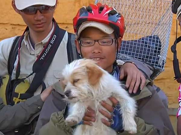 Xiaosa es una perrita callejera que se ha hecho famosa por recorrer más de 1.000 kilómetros con un grupo de ciclistas (vídeo).