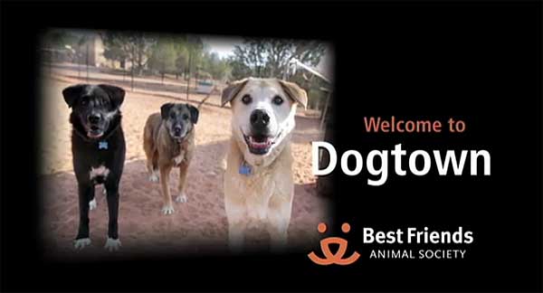 Entre tanto programa de perros que busca la lágrima fácil sin aportar soluciones, sensacionalistas, o de "adiestramiento mágico"... destaca Dog Town.
