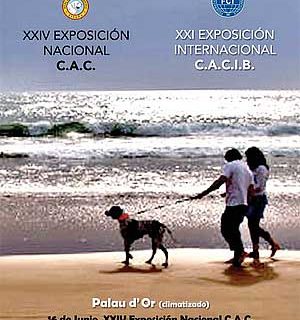 Exposición Canina de Oropesa del Mar (Castellón), horarios por razas, cómo llegar...