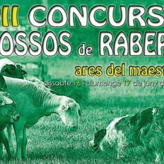 Pastoreo deportivo en Ares del Maestrat: VII Concurso de gossos de rabera...