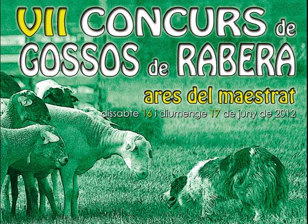 Pastoreo deportivo en Ares del Maestrat: VII Concurso de gossos de rabera...