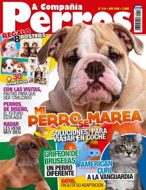 De la revista Perros y Compañía, destacamos: Como raza principal el grifón de Bruselas, artículos de educación (saludar a las visitas), prácticos (perros que se marean en los coches), etología (dominancia, mito o realidad), nuevos cruces que "quieren" ser razas, en veterinaria la diabetes canina, natación canina...