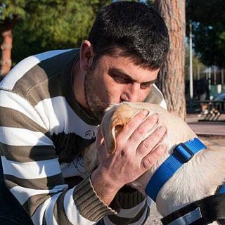 ¿Cuándo se debe comenzar el entrenamiento y/o adiestramiento de los perros de ayuda social? Por Miguel Ángel Signes Llopis (AIAP).