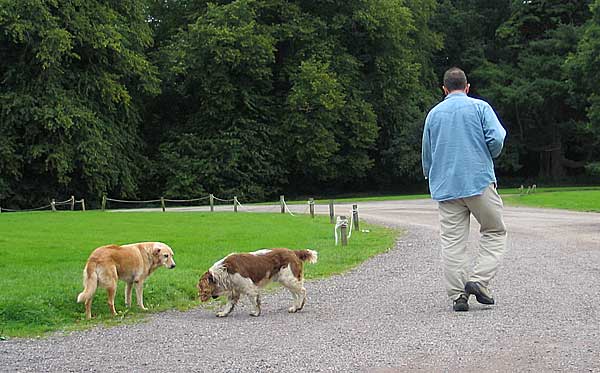 Los proyectos para rehabilitar adolescentes utilizando perros... ¿funcionan siempre, o sólo con determinados individuos?