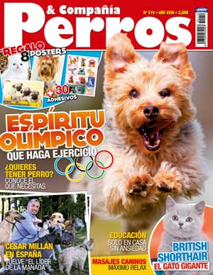 Revista Perros y Compañía, agosto de 2012: César Millán en España, ansiedad por separación, ejercicio...