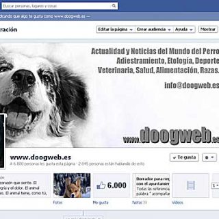 Doogweb en Facebook.