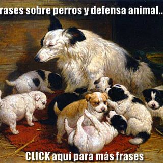 "El perro pocas veces ha logrado elevar al hombre a su nivel de sagacidad, pero el hombre con frecuencia ha bajado al perro a su nivel". James Grover Thurber, escritor y humorista estadounidense (1894-1961).