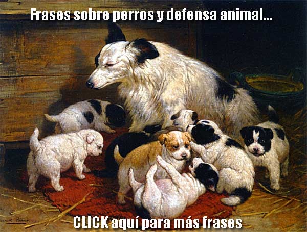 "El perro pocas veces ha logrado elevar al hombre a su nivel de sagacidad, pero el hombre con frecuencia ha bajado al perro a su nivel". James Grover Thurber, escritor y humorista estadounidense (1894-1961).