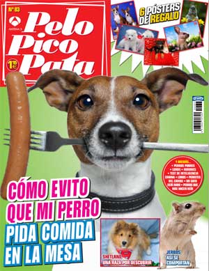 Revista Pelo Pico Pata, septiembre 2012: Shetland, educación, adopciones...