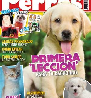 Revista Perros y Compañía, septiembre de 2012: Bichón frisé, lecciones para cachorros, adopciones, aromaterapia para perros...