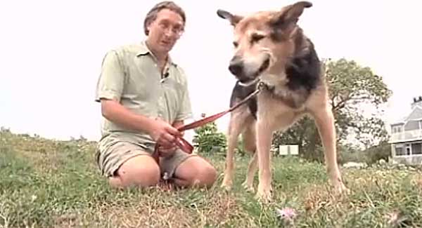 Es la historia perruna de la semana: John Unger y su perro Schoep (con vídeo).