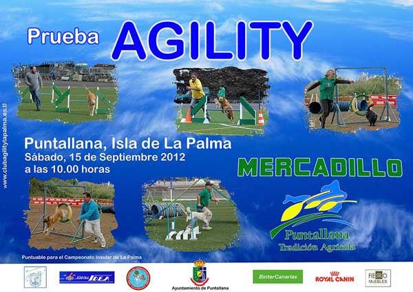 Agility con Club de Agility Insular La Palma y Club de Agility Junior.