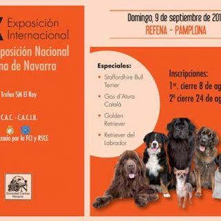 XX Exposición Canina Internacional de Navarra, horarios, cómo llegar...