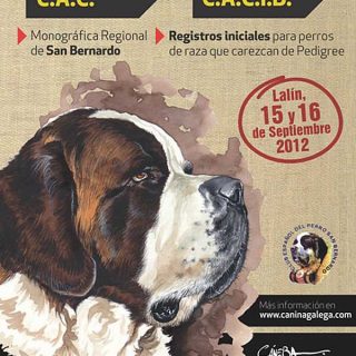 Exposición Canina de Pontevedra (Lalín), monográfica de San Bernardo, registro de razas, pruebas de identificación genética...