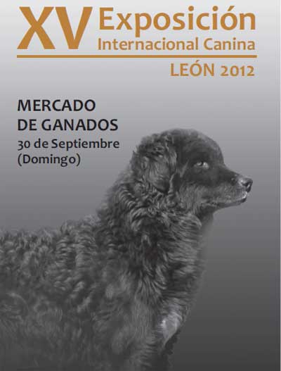XV Exposición Internacional Canina de León, Monográfica Internacional de Alano Español, Monográfica Bulldog Inglés, Concentración de Carea Leonés y Concurso Nacional Canino