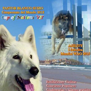 International Dog Show en Gijón, Selectiva de Agility WAO, Mundial de belleza pastor blanco suizo, talleres caninos gratuitos...