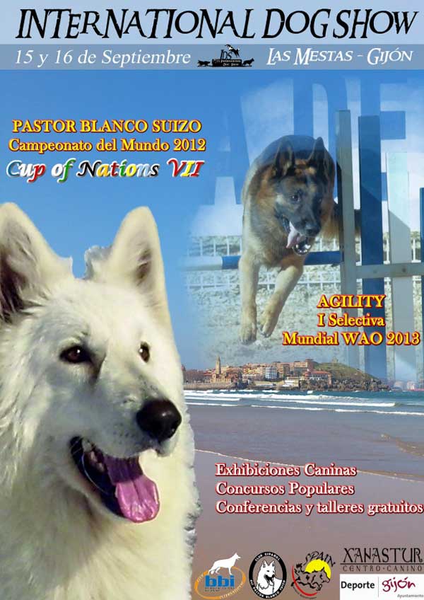 International Dog Show en Gijón, Selectiva de Agility WAO, Mundial de belleza pastor blanco suizo, talleres caninos gratuitos...