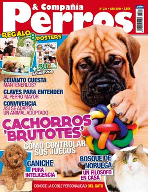 Revista Perros y Compañía, octubre 2012: ¿cuánto cuesta mantener un perro?, la adaptación de un perro adoptado, entender al perro mayor, perros en el trabajo, cómo controlar a los cachorros brutotes, las claves de un pelo saludable, las secciones habituales de veterinaria, consultorio...