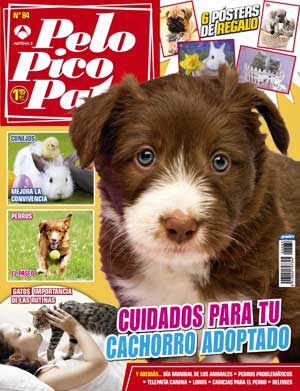 Revista Pelo Pico Pata, octubre de 2012: Cómo acariciar al perro, el cachorro recién adoptado, en comportamiento canino el caso de "Toby un perro problemático", la importancia del paseo...