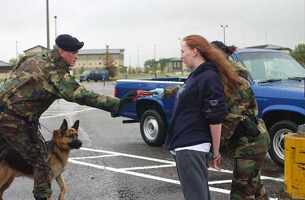 Los perros detectores de explosivos de la ATF son capaces de identificar 19.000 sustancias diferentes