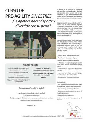 Asociar el agility a un ambiente tranquilo, relajado y divertido para el perro y el humano, ése es el objetivo de este <strong>Curso de pre-agility sin estrés</strong> que imparte la Universidad Complutense de Madrid.