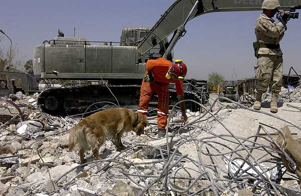 El vínculo de los guías con los perros de rescate, más allá del trabajo.