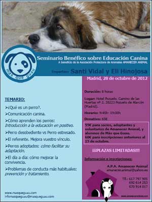 Seminario Benéfico de Educación Canina a beneficio de Amanecer Animal, con Jaime Vidal "Santi".