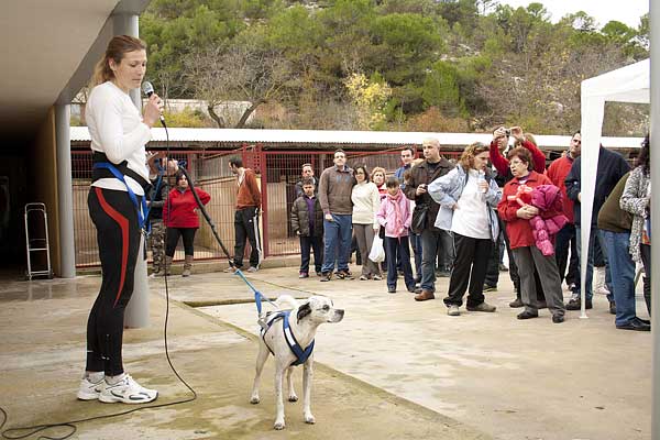 Jornada de Puertas abiertas con las Protectora de Alcoy... con el deporte canino y luchando por la adopción.