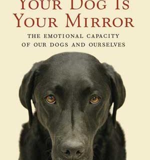 Tu perro es tu espejo: la capacidad emocional de nuestros perros y nosotros mismos... ¿Y si la cognición dependiera de la emoción?