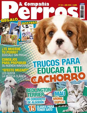 Revista Perros y Compañía, diciembre de 2012: bedlington terrier, en etología "perros miedicas, cómo vitar que sufran", problemas de adaptación en los perros, cachorros mordedores...