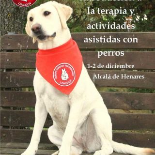 II Seminario de Introducción a la Terapia y Actividades Asistidas con Animales, con el Cuerpo Canino Terapéutico Lincoln.