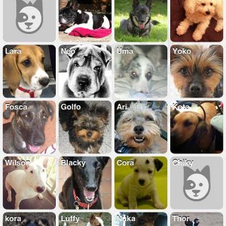 Doggy Talky, nuevo buscador de amigos perrunos y servicios caninos para smartphones.