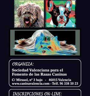 Exposición Canina Internacional de Valencia, días 15 y 16 de diciembre en las instalaciones de la Feria de Valencia, Nivel 3 Pabellón 1. XXIX Monográfica del Club Español del Yorkshire Terrier, Monográfica Nacional del Club de Galgos Afganos y Salukis, Concurso Monográfico del Club Español de Retrievers, V Concurso...