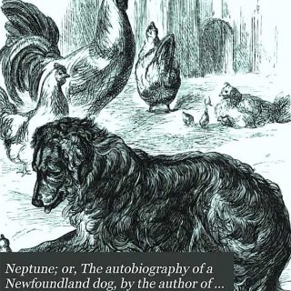 Neptuno, autobiografía de un perro terranova. Libro gratis.