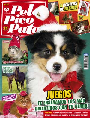 Revista Pelo Pico Pata, enero 2013: las mascotas tras el huracán Sandy, "Mi perro no me entiende", ideas para juegos con nuestros perros, el valor de los premios en la educación, qué hacer ante un perro perdido, los peligros de las comidas navideñas...