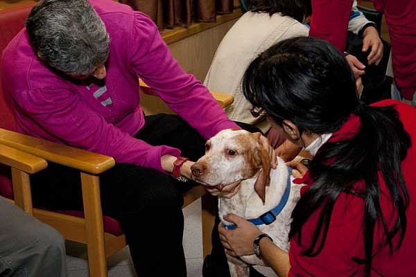 Los perros de la Protectora de Alcoy felicitan la Navidad a los residentes del centro de Gormaget.