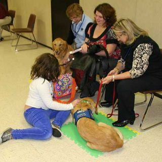 Perros que ayudan en la matanza de Connecticut, seis golden retriever asisten a las víctimas.